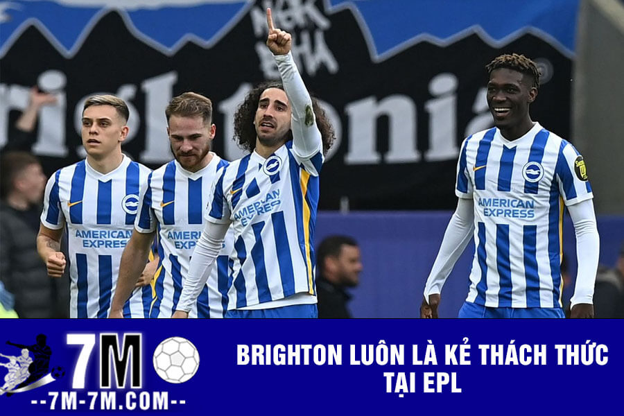 Brighton luôn là kẻ thách thức tại EPL