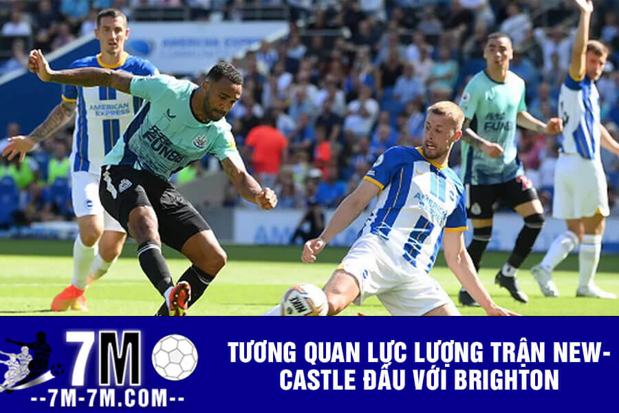 Tương quan lực lượng trận Newcastle đấu với Brighton