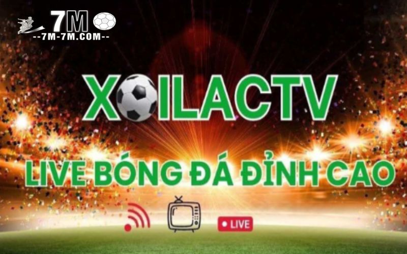 Không gian xem bóng đá trực tuyến hiện đại tại xoilac